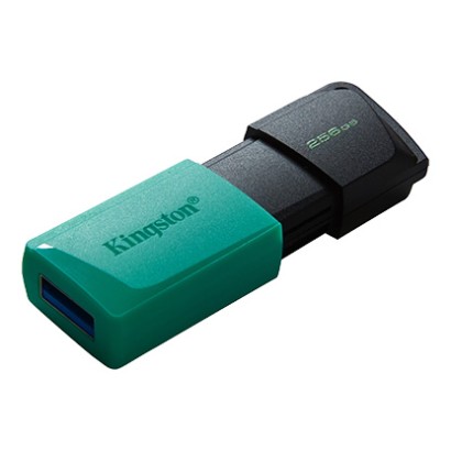 Memoria USB Kingston DataTraveler Exodia M 256GB USB 3.2 DTXM/256GB