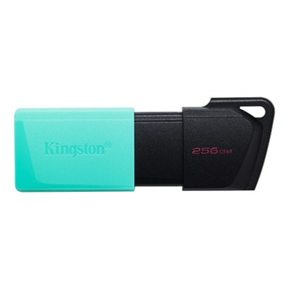 Memoria USB Kingston DataTraveler Exodia M 256GB USB 3.2 DTXM/256GB