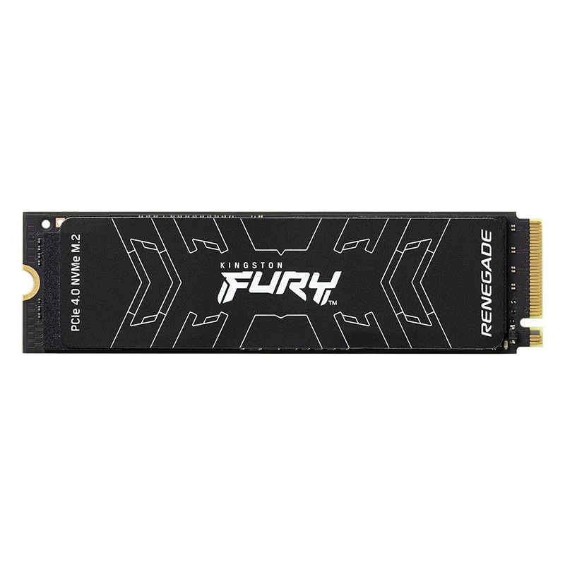 Memoria SSD m.2 Kingston FURY Renegade 1TB PCIe 4.0 NVMe SFYRS/1000G